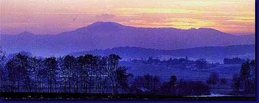 BMmontindigo
